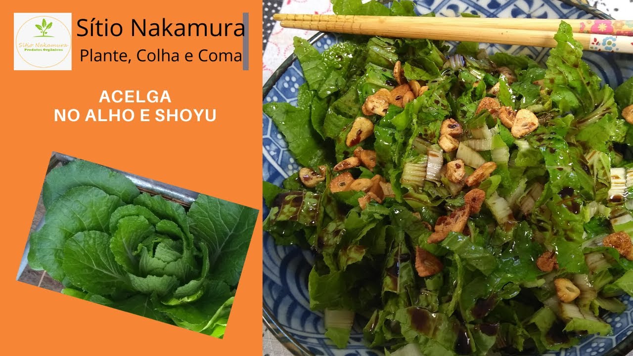 COMO FAZER ACELGA ORIENTAL COM ALHO E SHOYU #vidanocampo #vidanositio