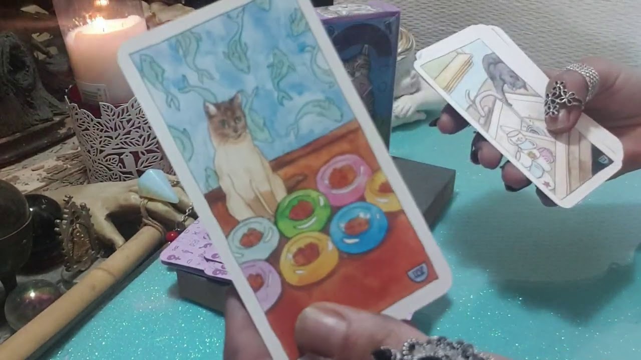 REVIEW  CAT TAROT(EN ESPAÑOL)tirada incluida
