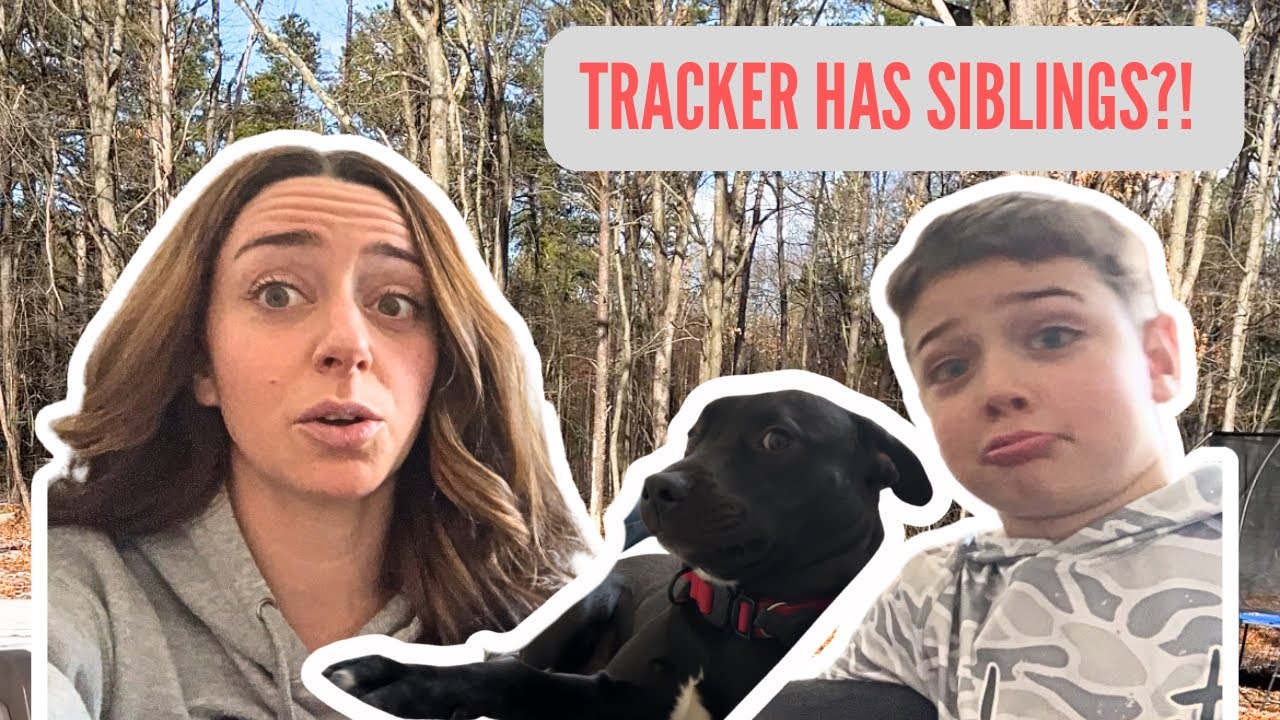 Our Rescue Dog’s DNA Explains EVERYTHING (Plus Sibling Surprise!)