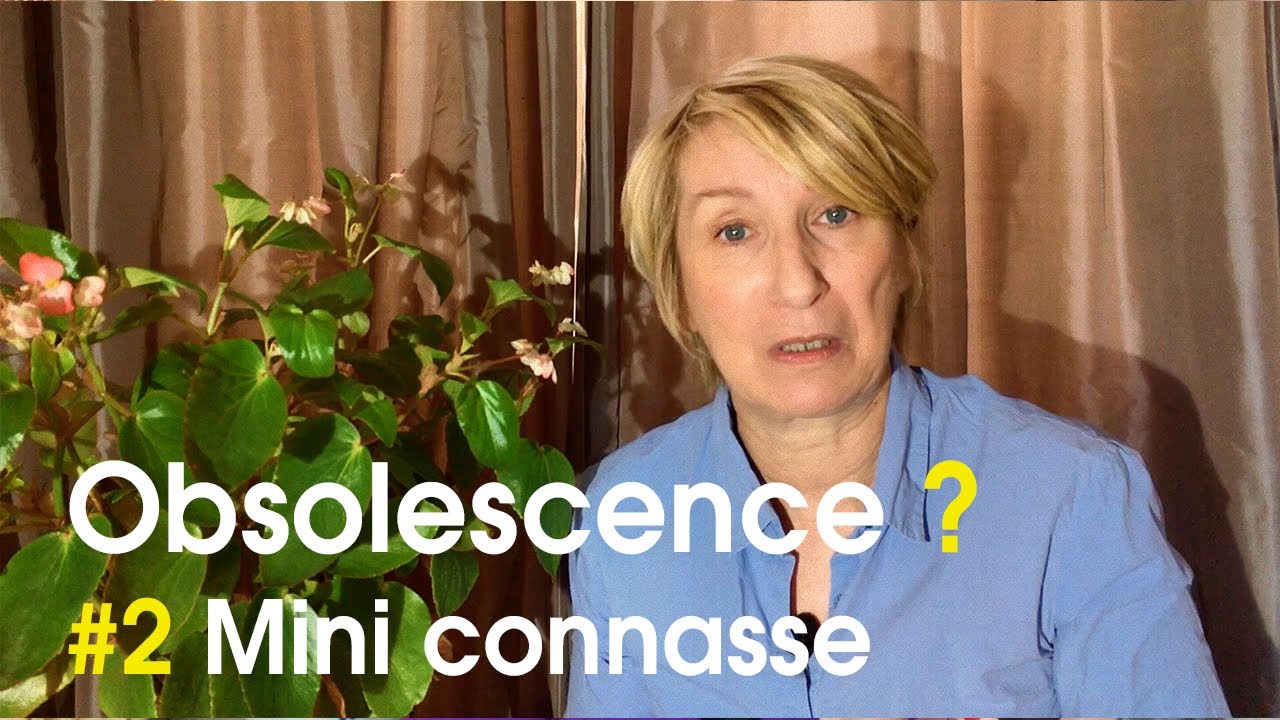 Elisabeth Buffet : Obsolescence #2 - Miniconnasse