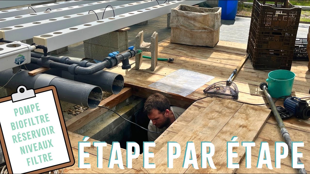 Remise en route de notre système hydroponique 💪🌿