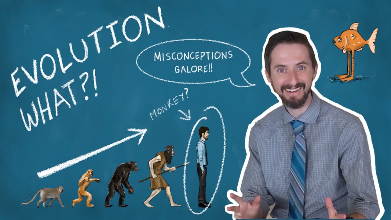 Top 5 Evolution Misconceptions