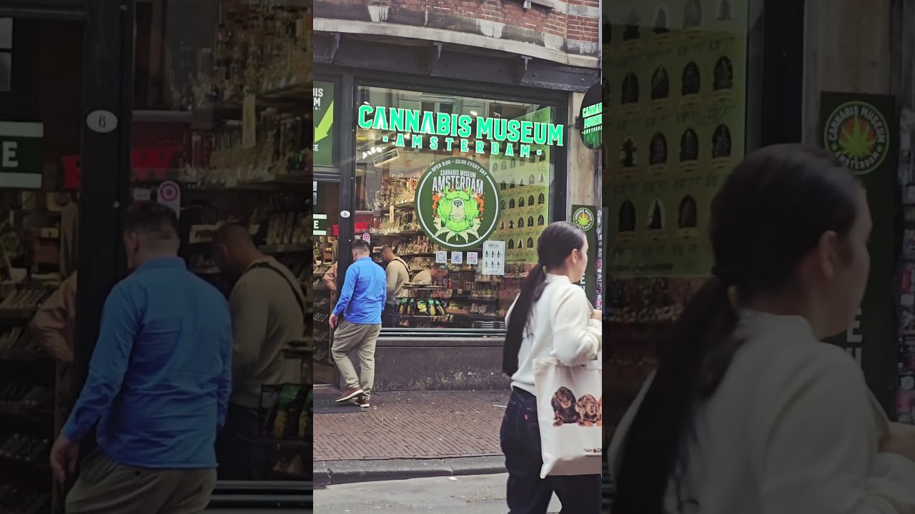 Cannabis museum in Amsterdam Entrance inside th Cannabis shop #Amsterdam #cannabiseducation  #museum
