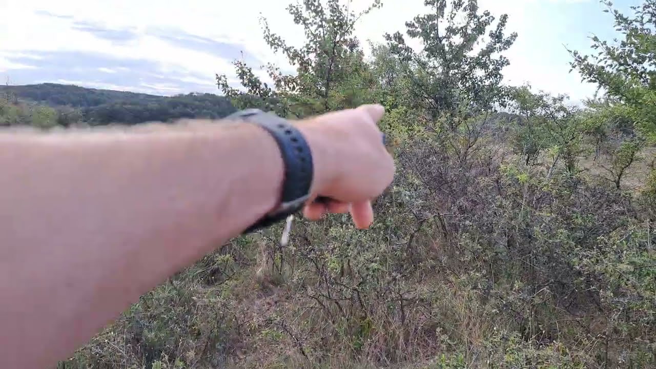 Teren de vanzare in localitatea Leamna de Sus | 4000 de metri