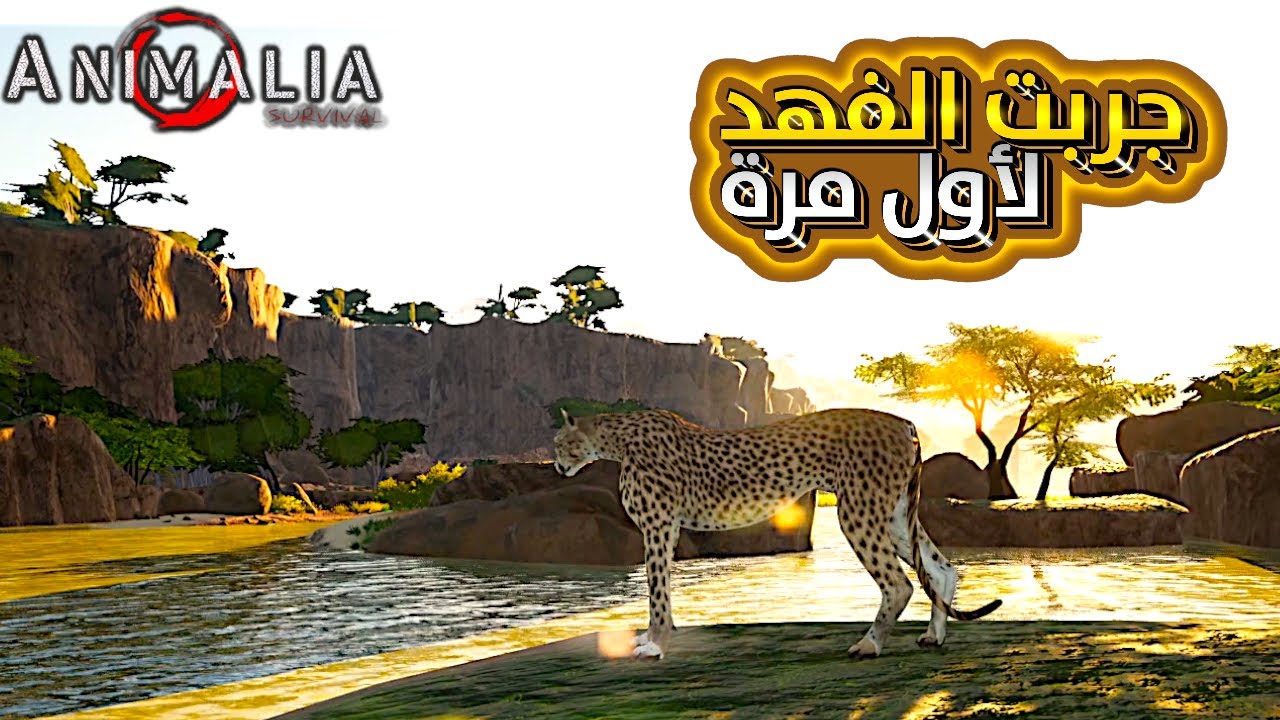 أسرع حيوان في اللعبة 🔥 | تجربة الفهد الصياد لأول مرة – Animalia Survival