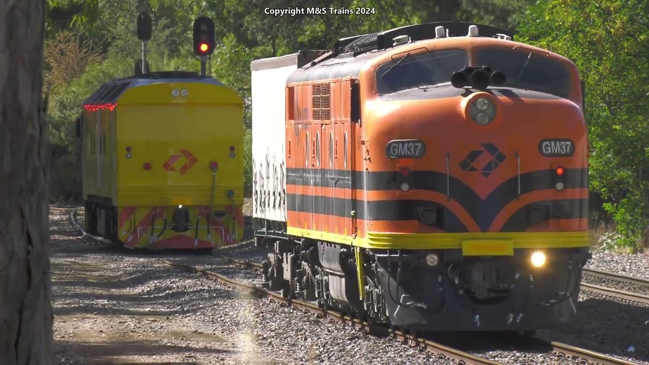 GM STREAMLINER & TRIPLE C CLASSES IN THE ADELAIDE HILLS AT CHRISTMAS TIME