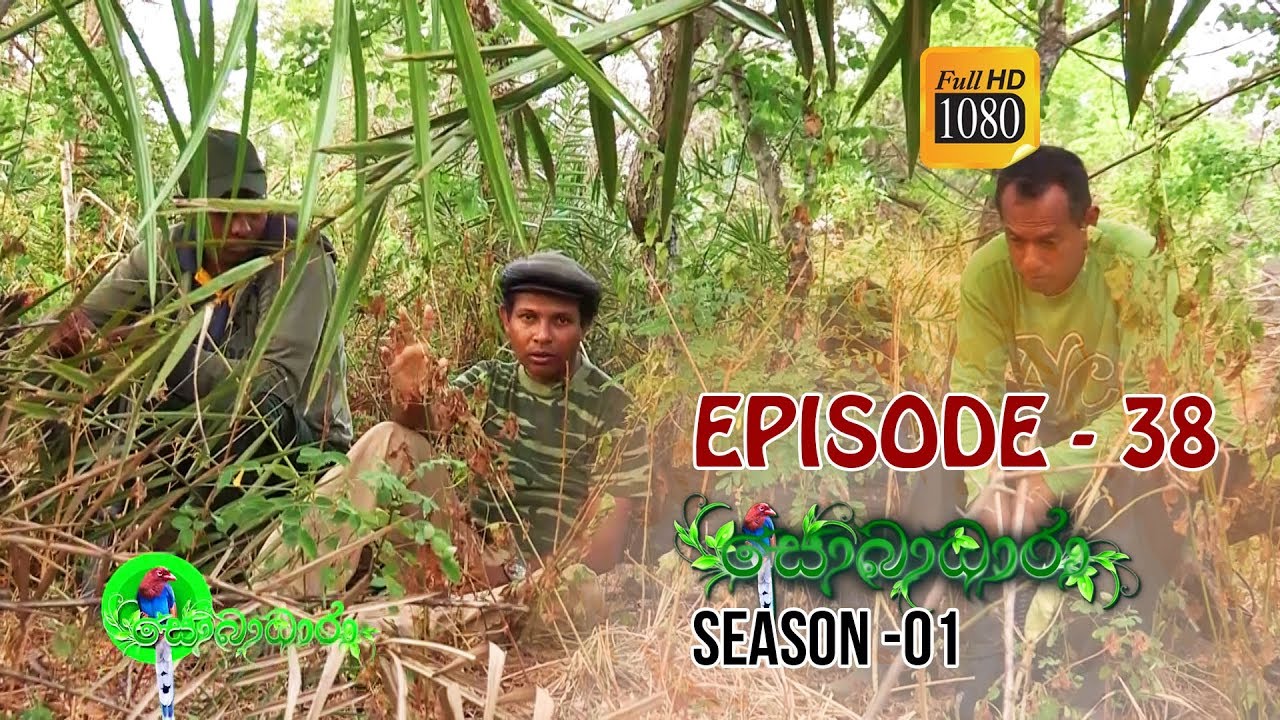 Sobadhara | Season - 01 | Episode 38 | Sobadhara Rupavahini