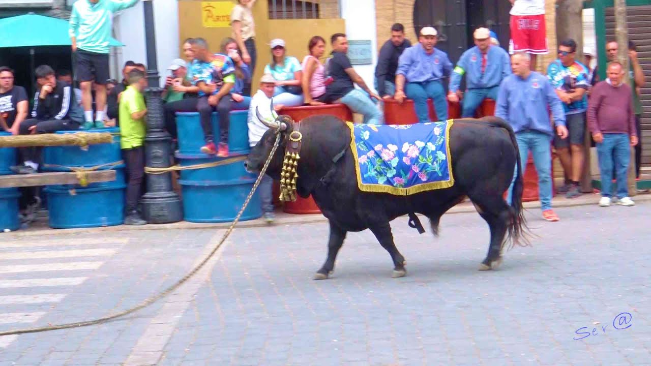 2024 Beas de Segura  18 San Marcos