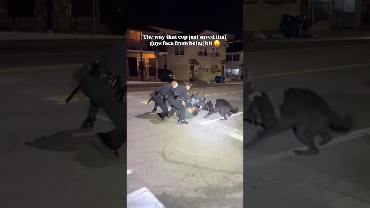 Almost mauled in the face 😮&zwj;💨 #dog #dogtrainer #policedog #police #policek9