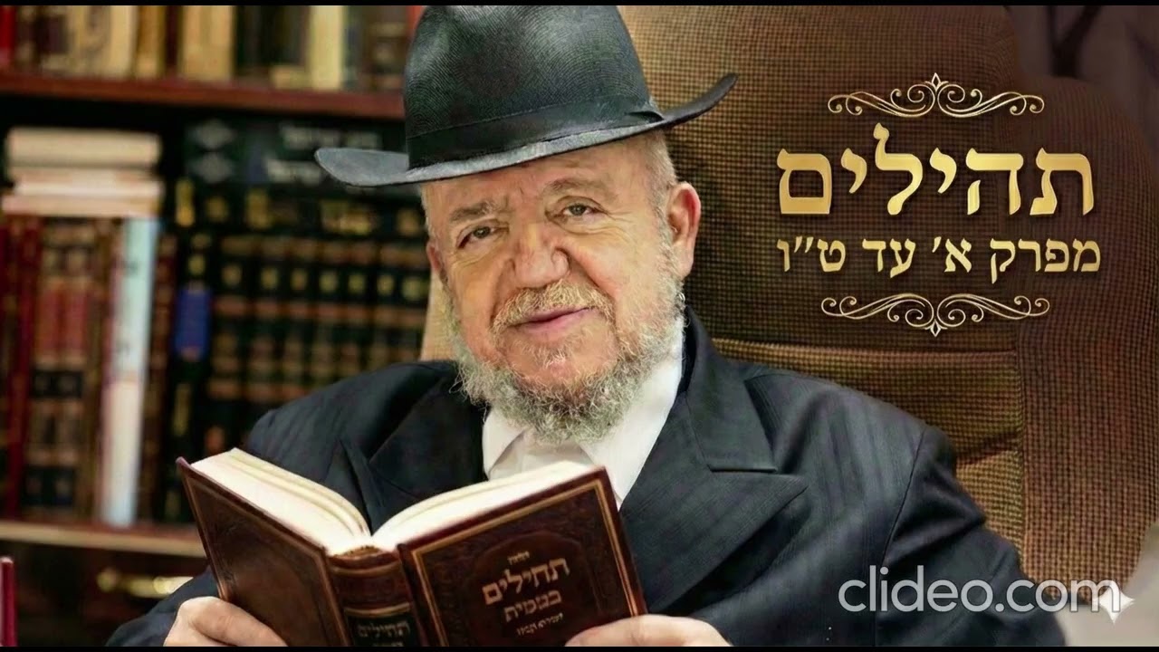 תהילים מאת הרב מאיר מזוז, מפרק א' עד ט''ו