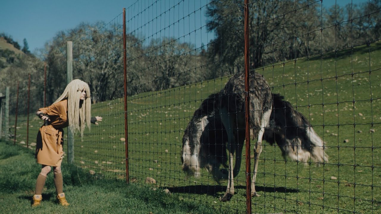 Tangella Visits Safari West