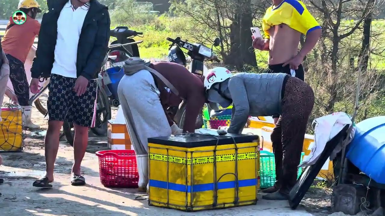 Sau không khí lạnh ghe thuyền và ca nô ra khơi đánh bắt cá trở về gặp nhiều bội thu 