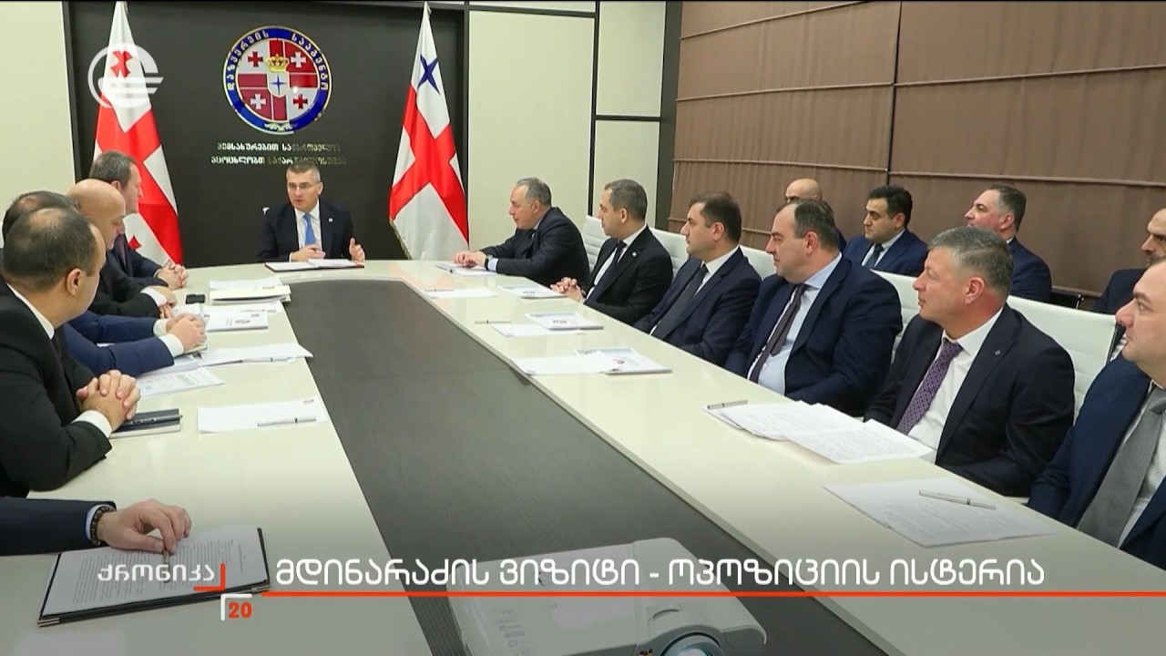 მდინარაძის ვიზიტი - ოპოზიციის ისტერია