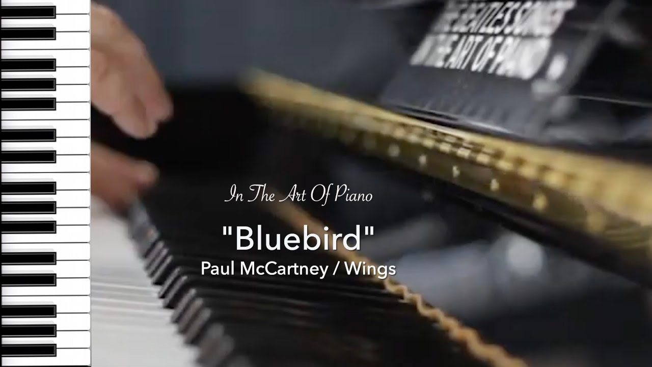 Song No.56 