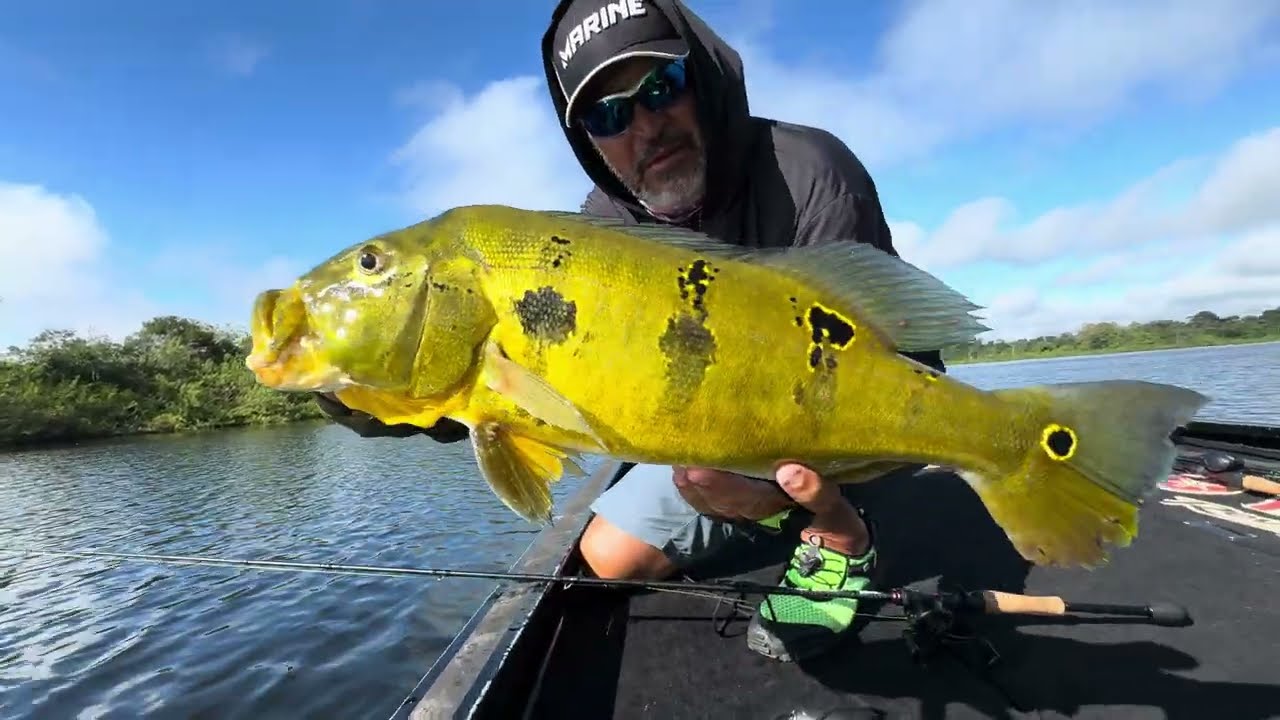 UM RIO COM MUITO PEIXE!