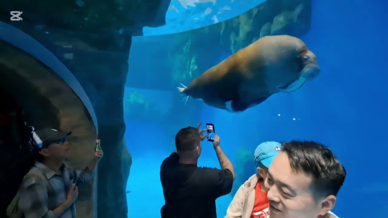 Ep2 north pole encounters 