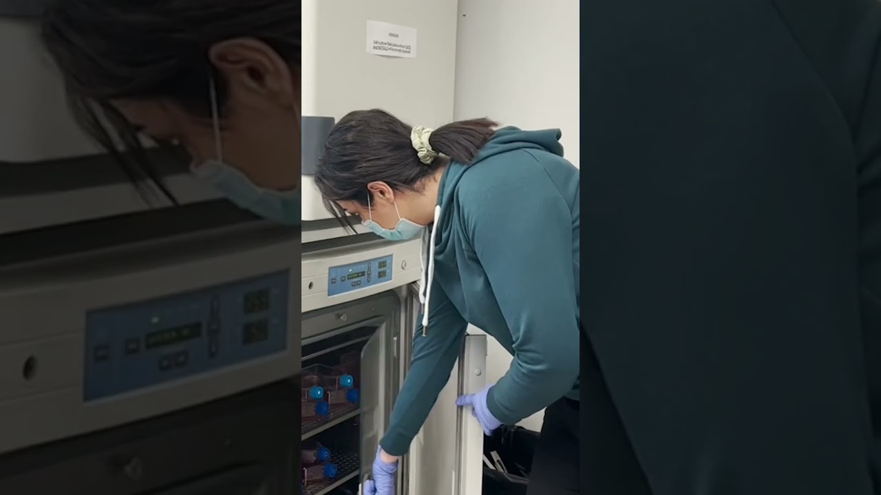 Pursuing research in cancer treatment? Here is what you need to know!