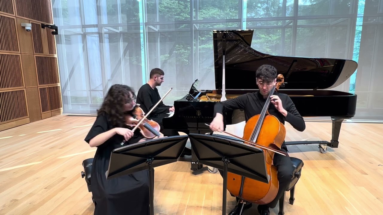 HALLELUJAH COVER | LEONARD COHEN | TRIO NOIR