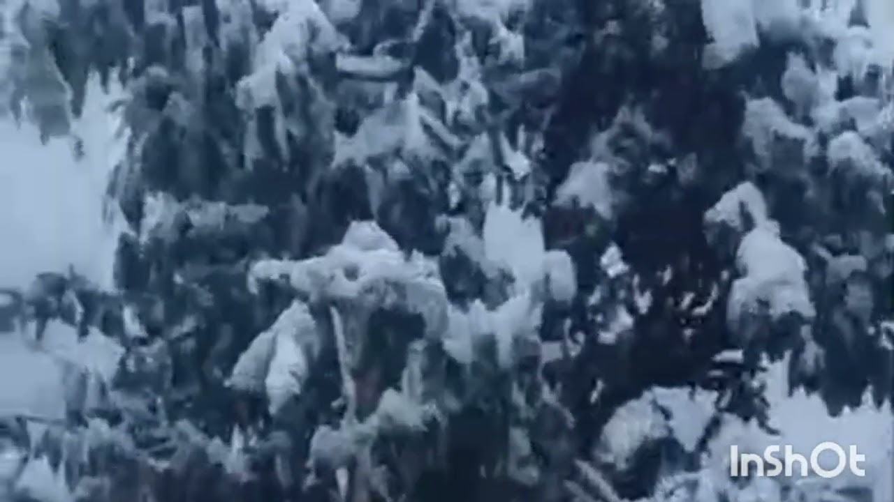 Snowfall in uttarakhand / उत्तराखण्ड में बर्फबारी 