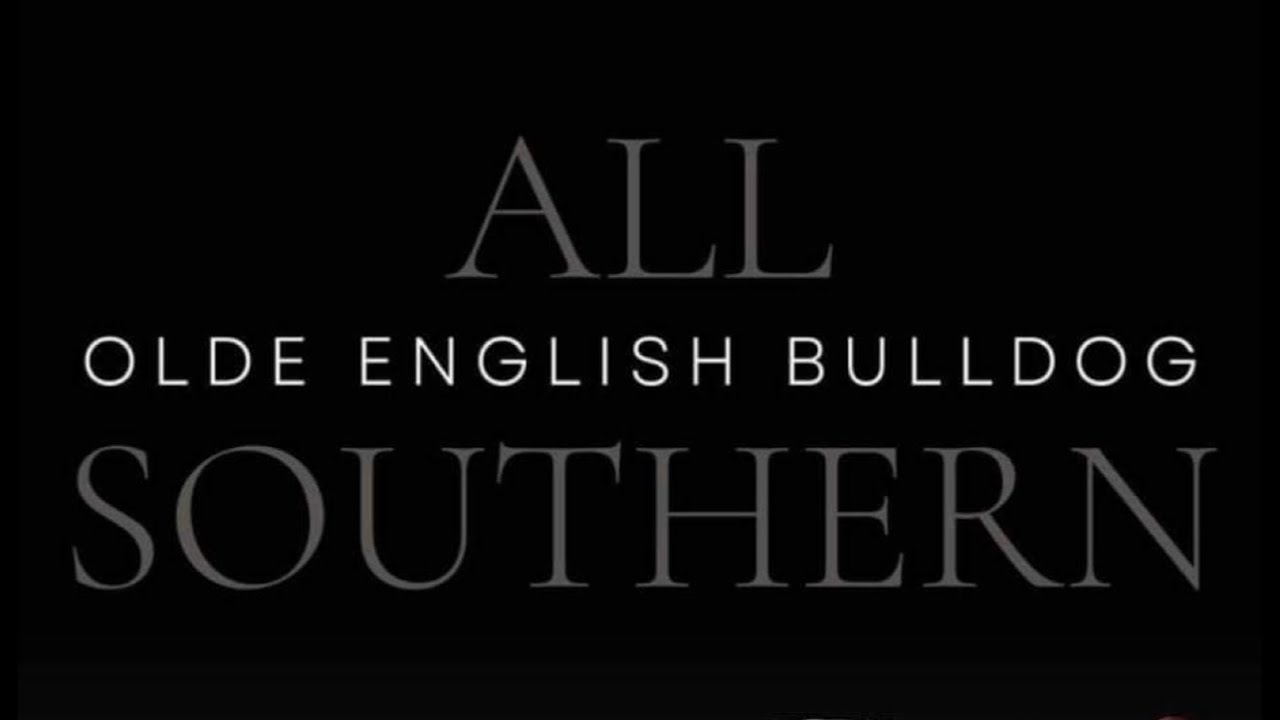Discover the Ultimate Guide to Southern Dog Breeds on YouTube - All Southern Dogs!