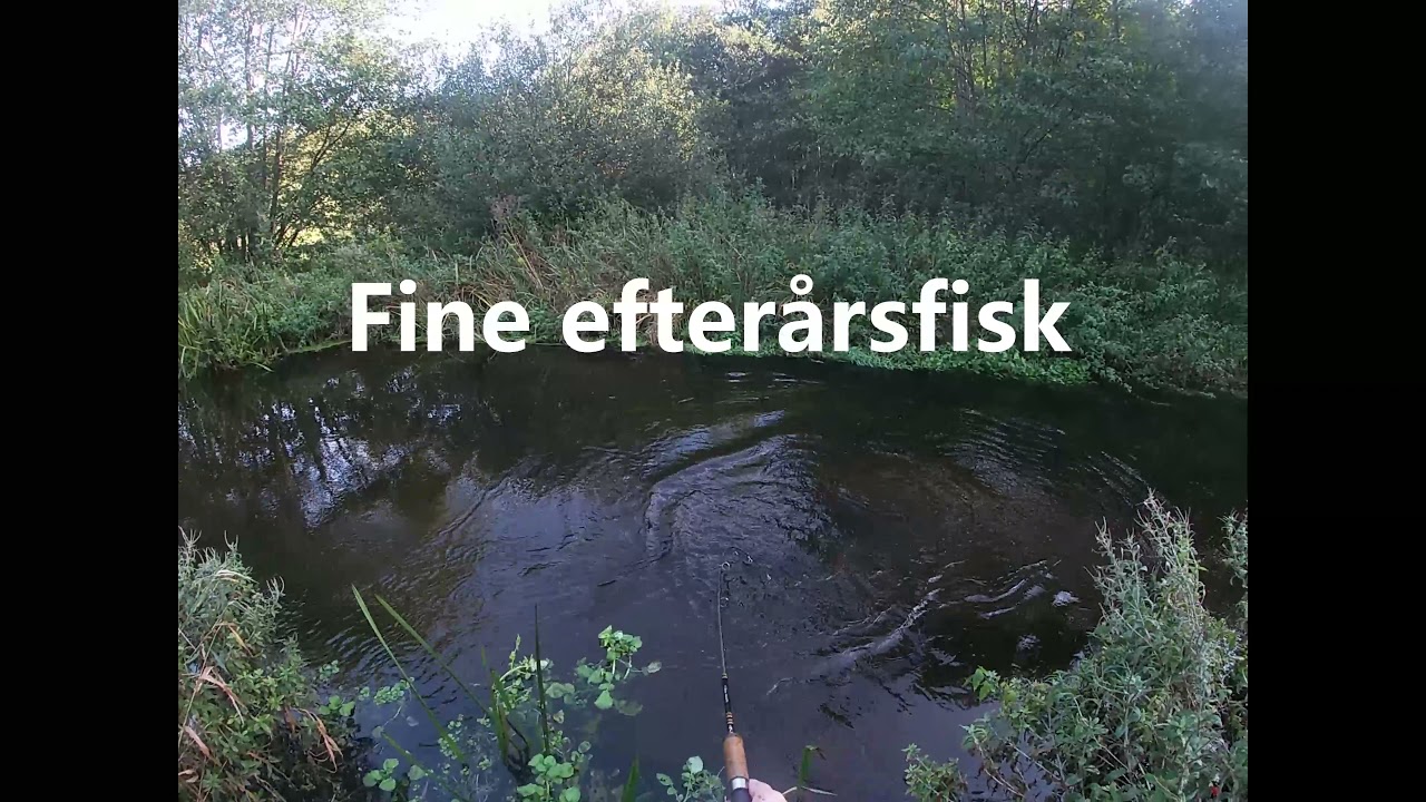 Efter&aring;rstur til &aring;en, hav&oslash;rred p&aring; spin