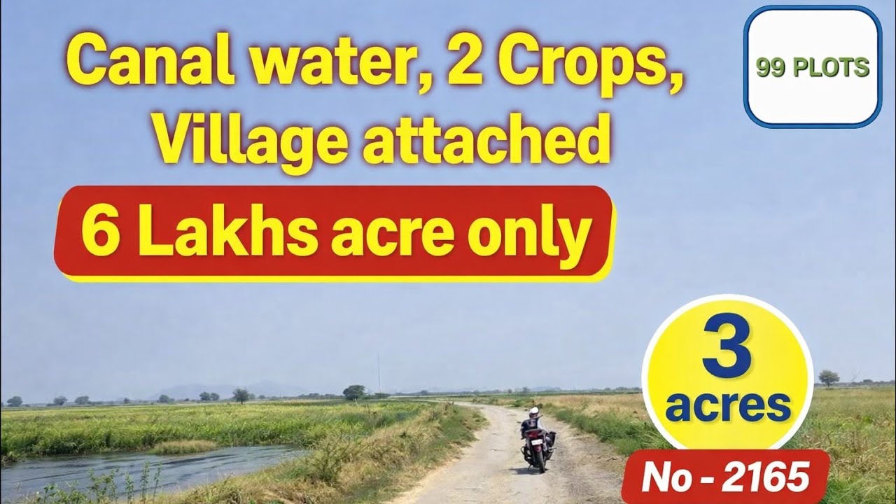 Low Cost Farm Land in #Kurnool AP | 3 Acres | Canal Irrigation | 6 Lakhs Per Acre