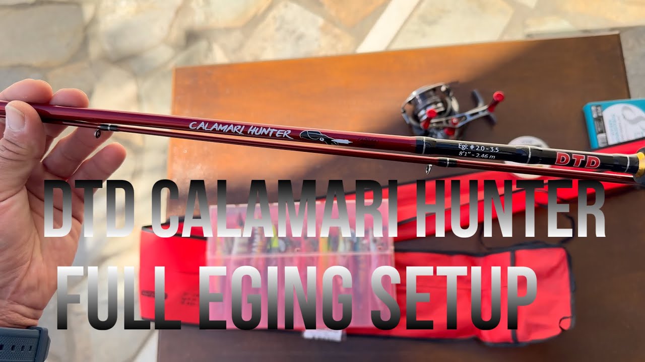 DTD Calamari Hunter Ι Φτηνό και ΚΑΛΟ ❗️#ψάρεμα #eging #dtd #daiwa 