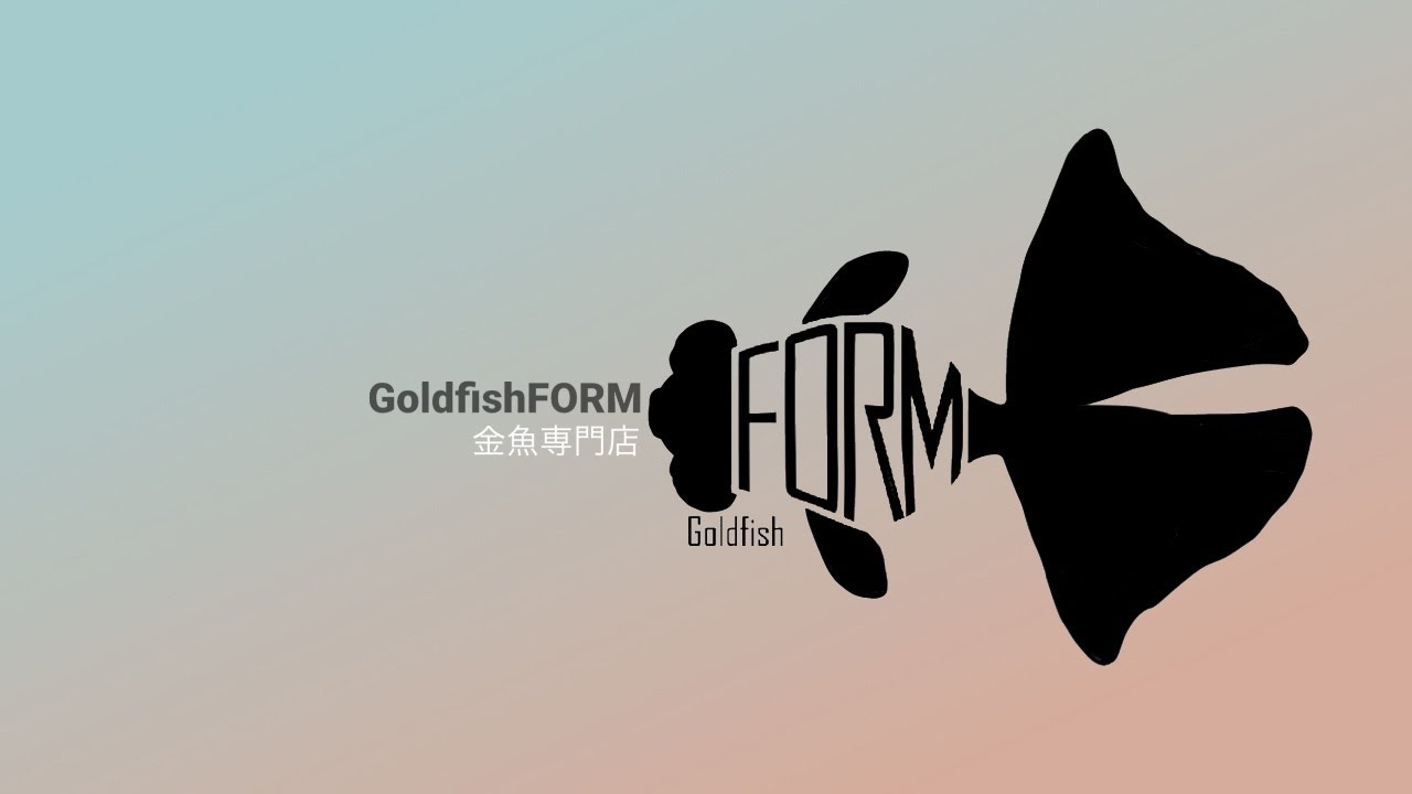 【Goldfish FORM】2025.11.28販売　現地セレクト！タイ産金魚紹介