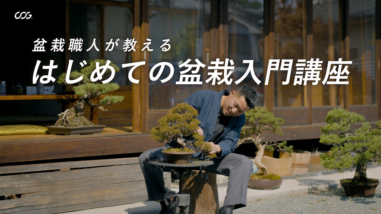 盆栽職人が教える【はじめての盆栽入門講座】｜剪定から針金かけまで｜盆栽職人・伊藤壮吾