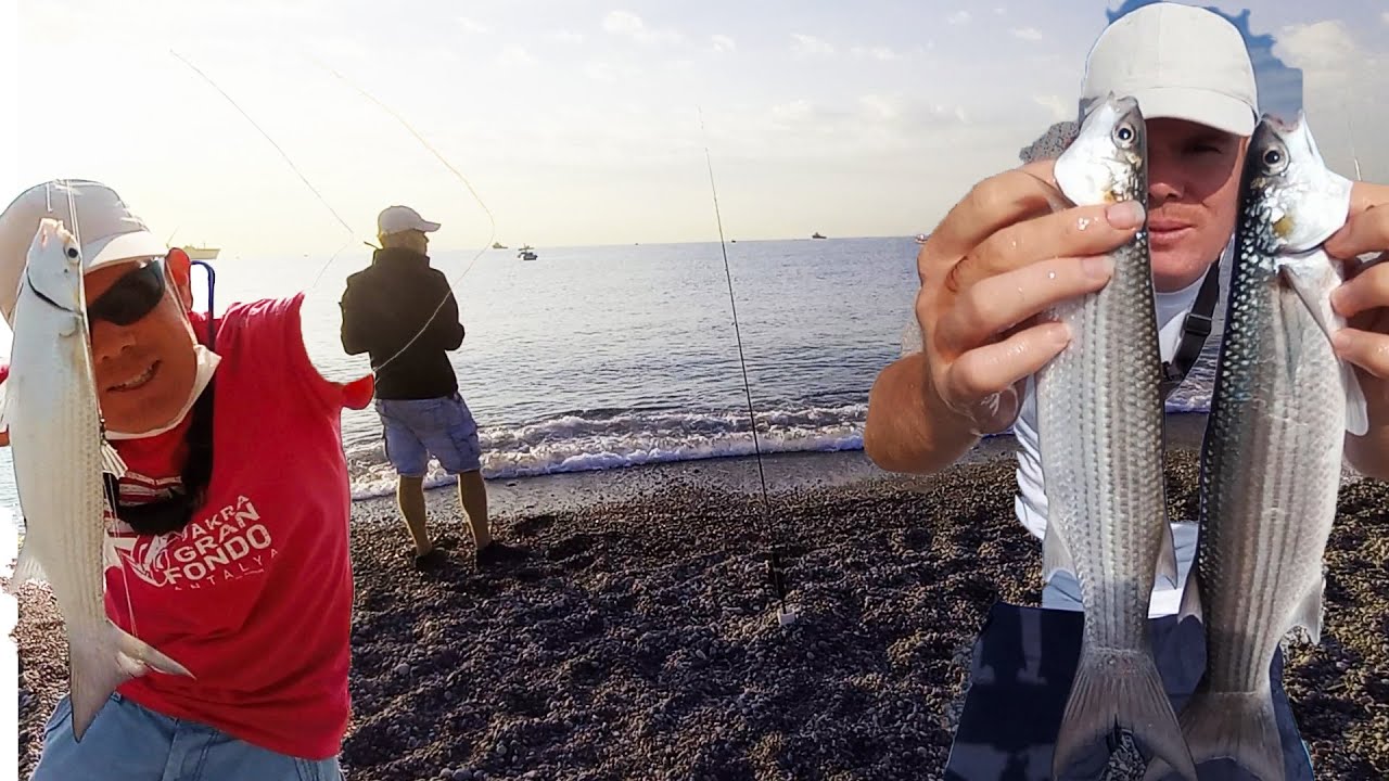 ANTALYA SARISU KEFAL AVI - balık avı - mullet fishing