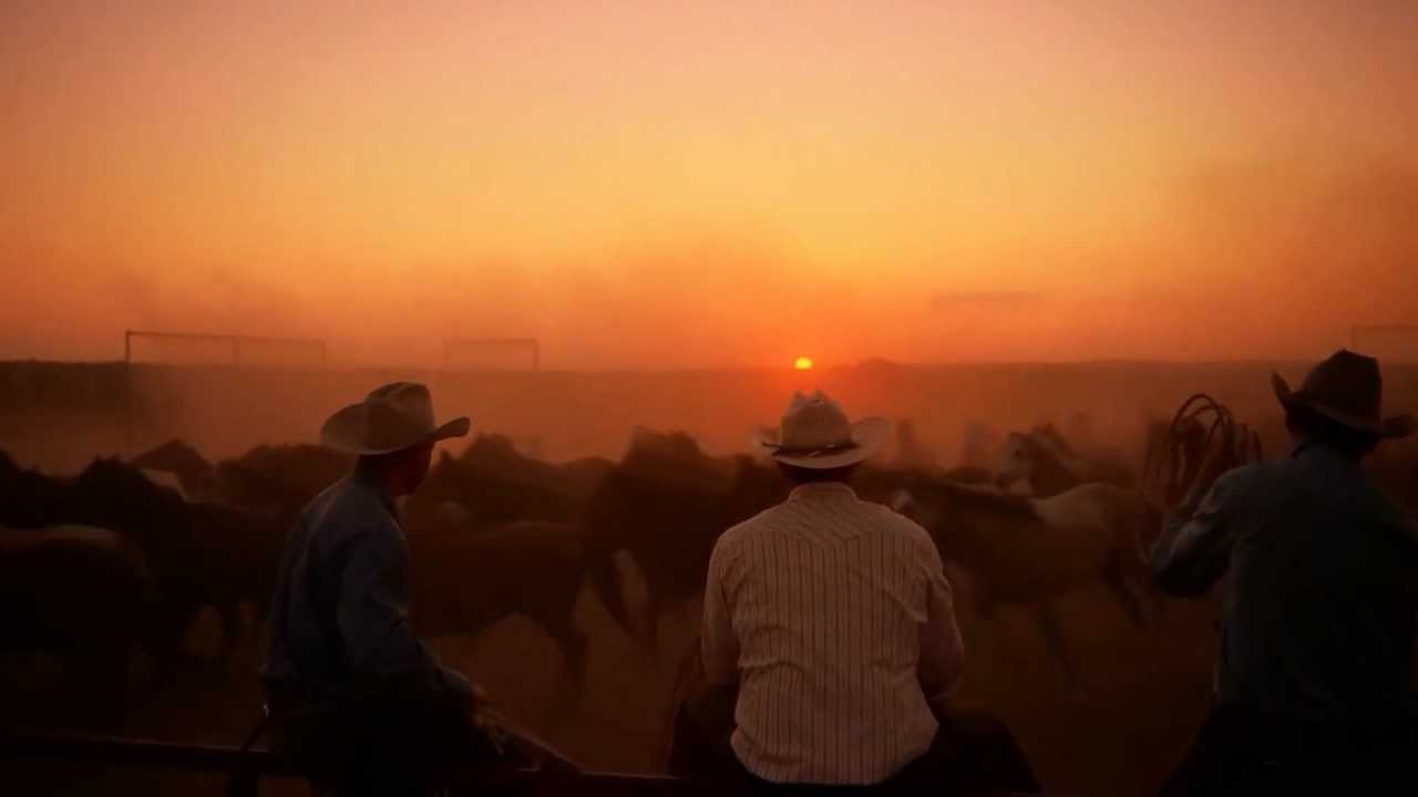 Emmylou Harris - Ballad of a Runaway Horse
