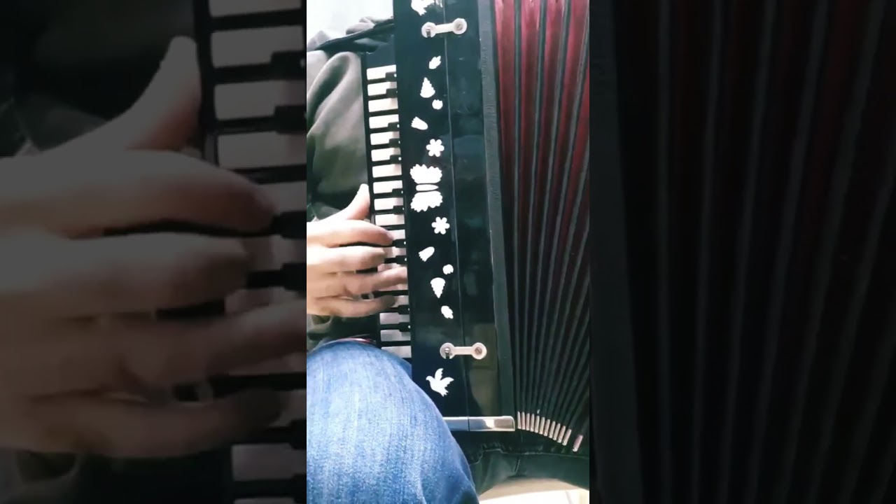 #garmon#qarmon #feridem#azeriqarmon#azerigarmon#azerimusic#folkmusic#qarmonifası#qarmondasuperifa