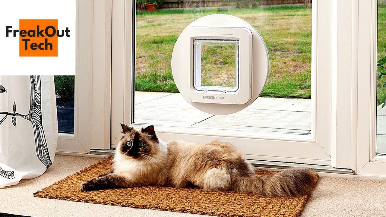 5 Incredible Inventions For Your Cat #11 ✔