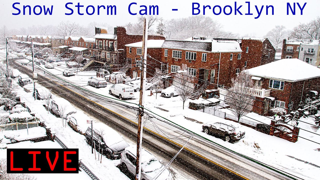 Winter Storm Cam | SOUTH BROOKLYN NYC | 8 to 12