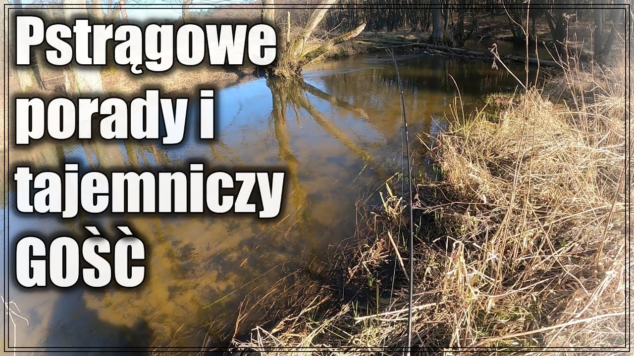 PSTRĄGOWE PORADY i tajemniczy GOŚĆ #76