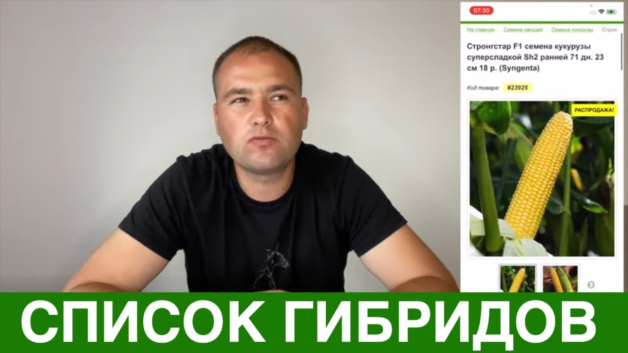 Какие гибриды рекомендует АгроДвиж до 10 июля посеять
