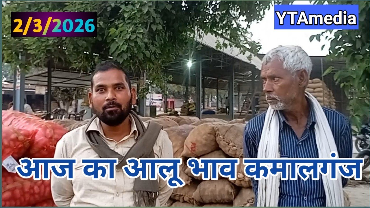 2 मार्च 2026 आज का आलू भाव | आज कमालगंज आलू मंडी मे आलू का भाव  | Potato rate today| Ytamedia |