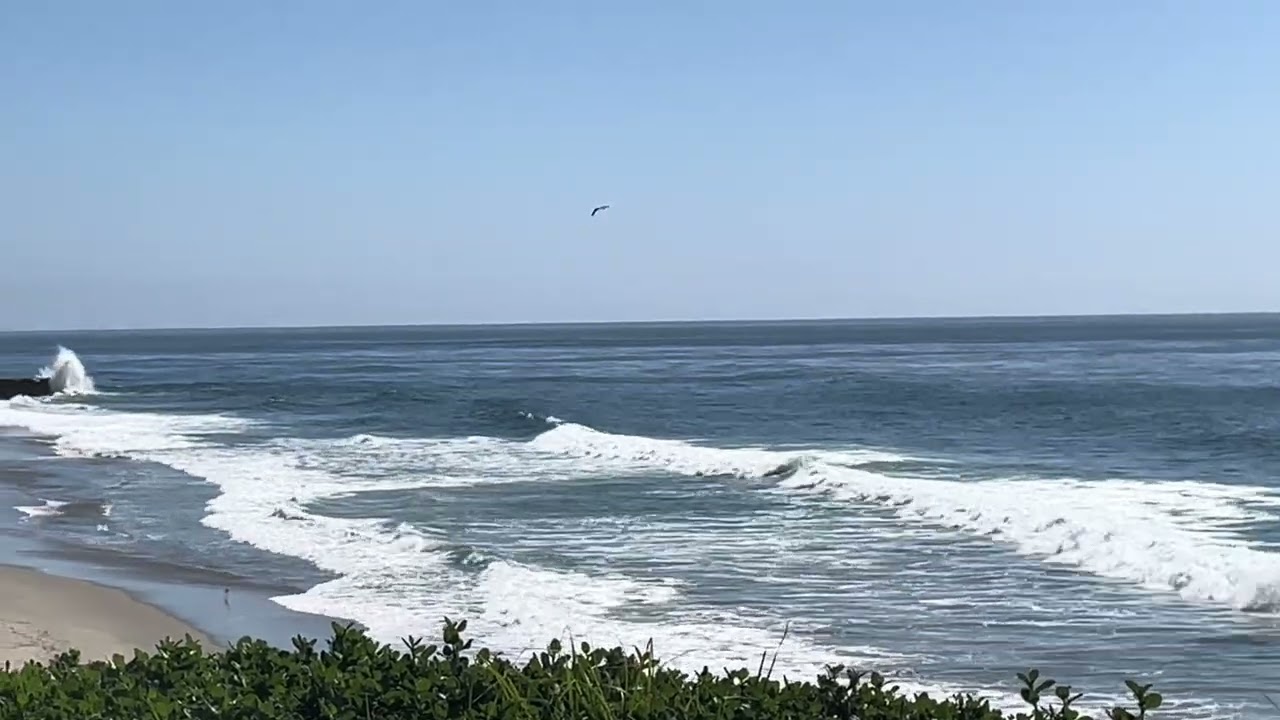 March 9, 2026 What it looks Like at The Beach NorCal Santa Cruz California #socal #beach