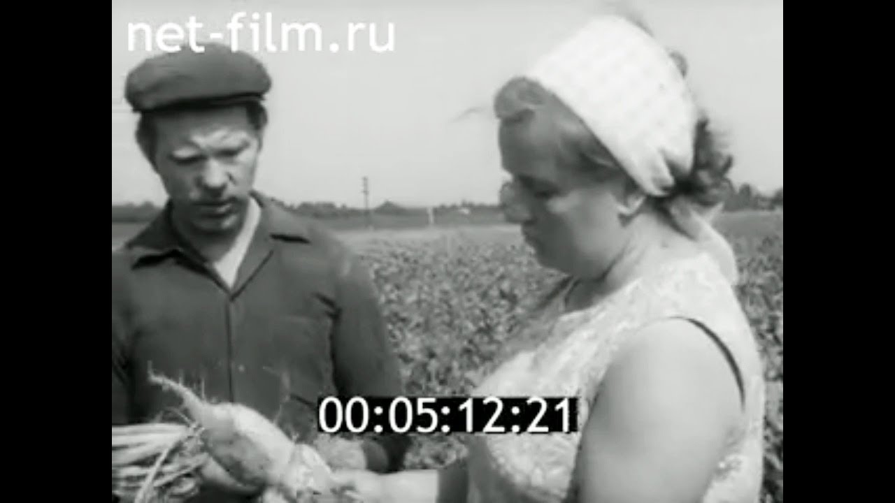 1973г. совхоз имени Дзержинского Ленинградская обл.