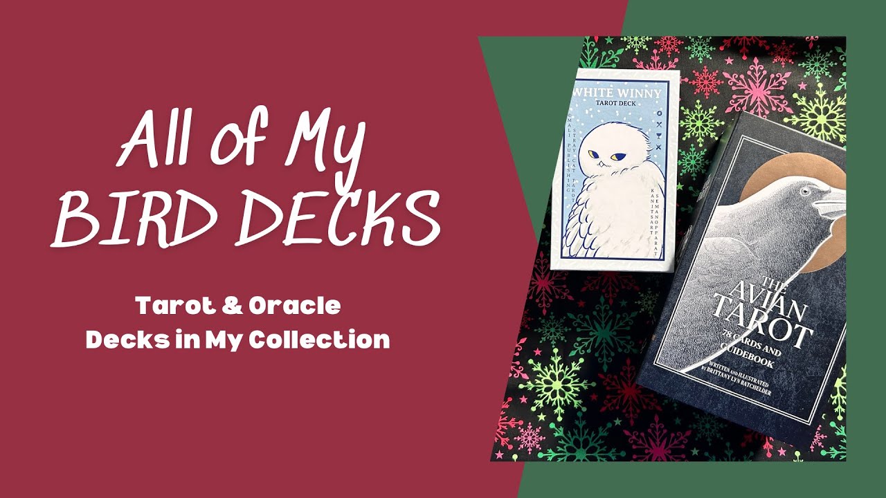 My Entire Bird Deck Collection | Tarot & Oracle Collection 2024