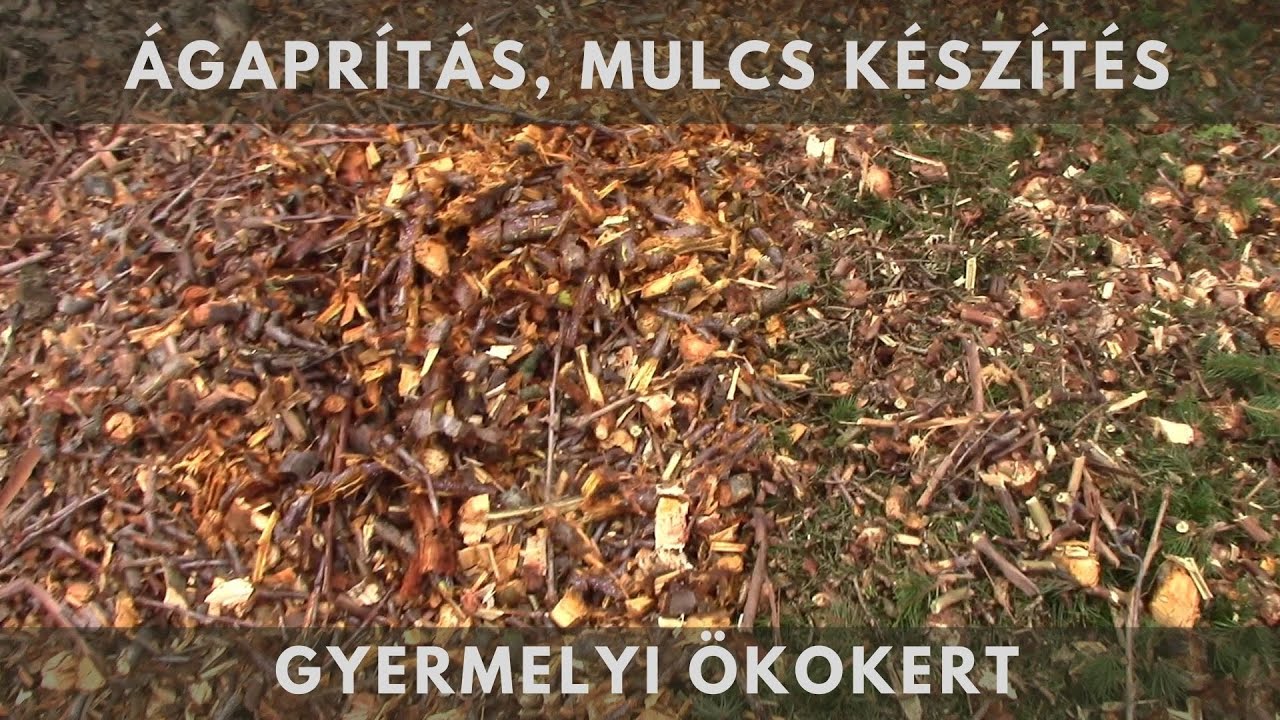 &Aacute;gdar&aacute;l&aacute;s, mulcs k&eacute;sz&iacute;t&eacute;s