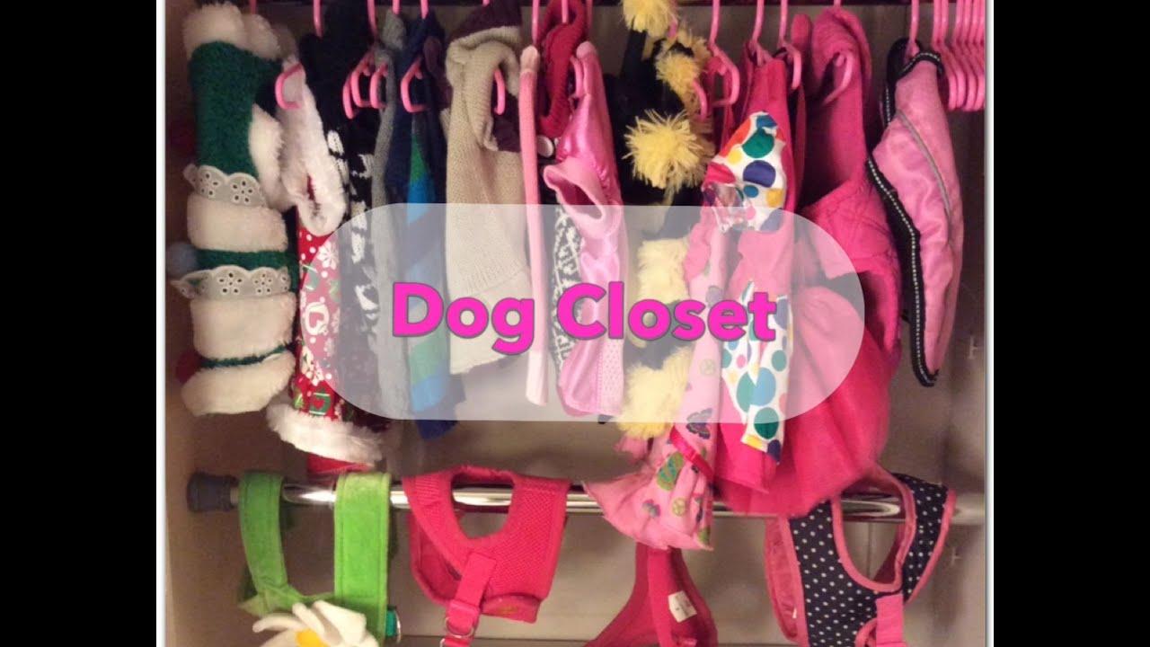 Dog Closet
