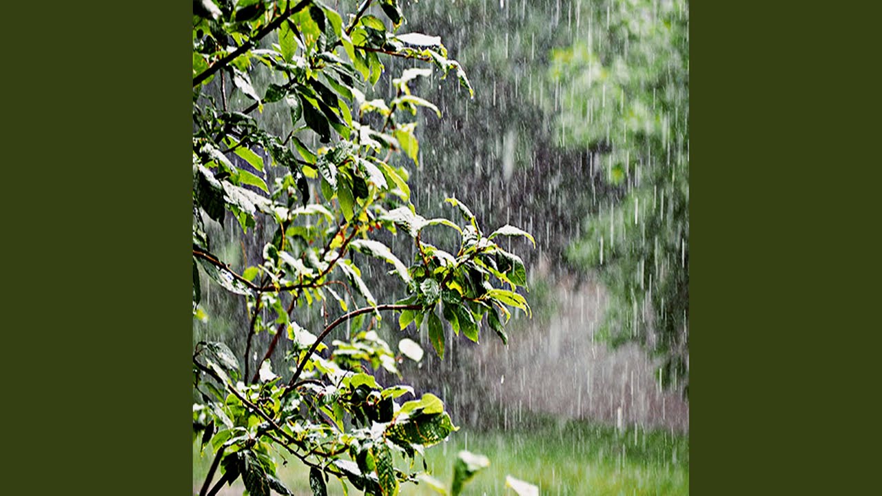 Som De Chuva Com Trovoadas | Chuva Para Dormir E Relaxar