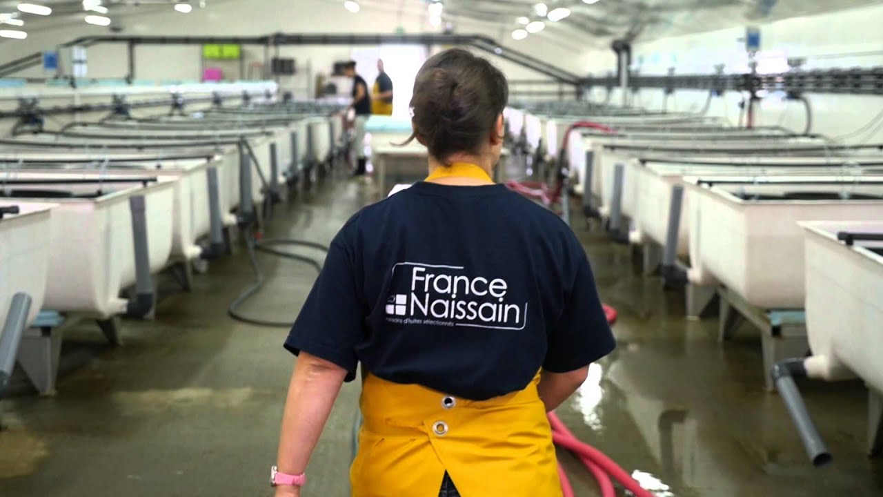 FRANCE NAISSAIN