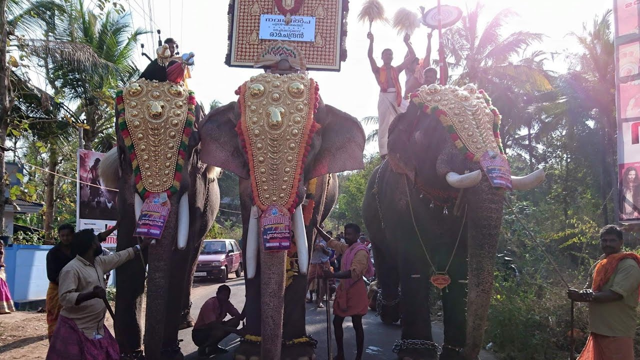കുന്നംകുളം തിപ്പില്ലശ്ശേരി പൂരം 2017 || Kunnamkulam Thippillassheri Pooram 2017