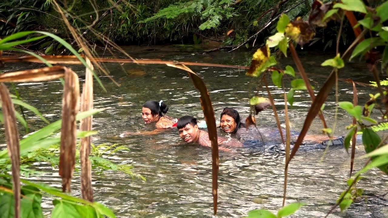 Movimiento Ind&iacute;gena del Choc&oacute;: 40 a&ntilde;os