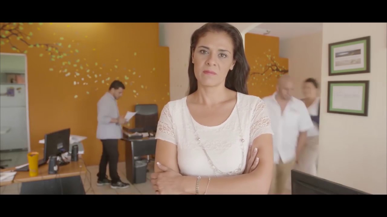 Historias de &Eacute;xito: M&oacute;nica Carlos | Transportes NAVI