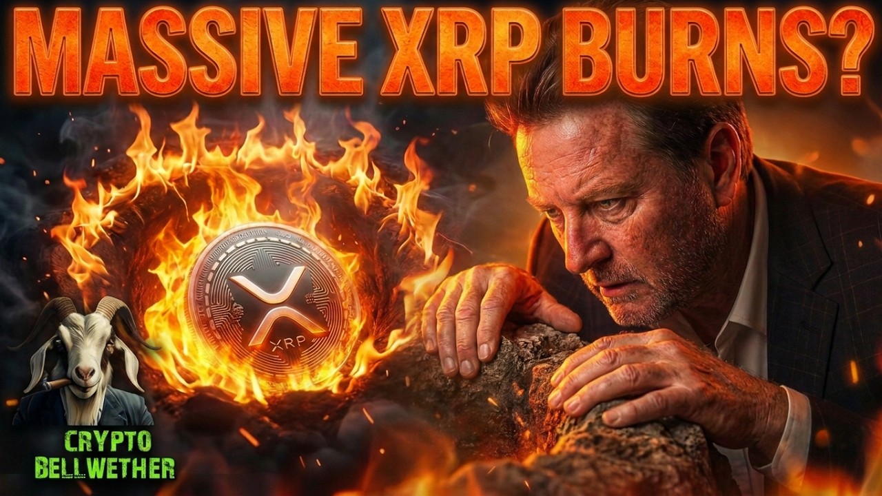 ВНИМАНИЕ: Ripple отчиталась о рекордной прибыли &mdash; банки переходят на XRPL = МАССОВОЕ СЖИГАНИЕ XRP...