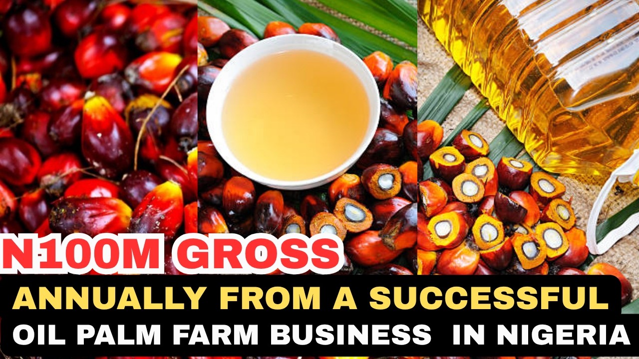 How to Build a Profitable Oil Palm Farm (Step-by-Step 2025)