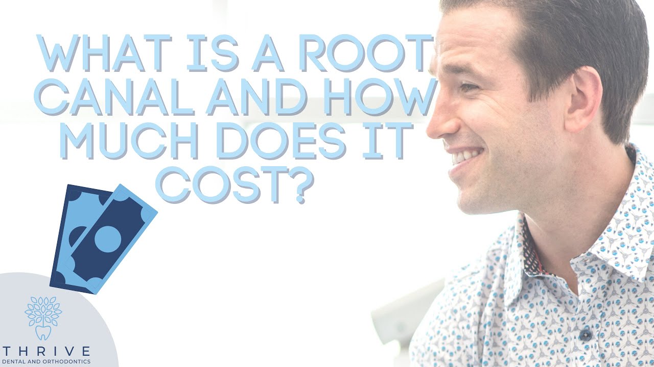 What is a Root Canal Treatment?| How Much Does a Root Canal Cost? | Dr. Nate